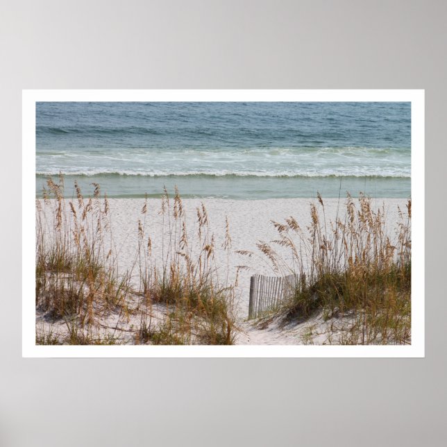 Póster Praia e Oceano (Frente)