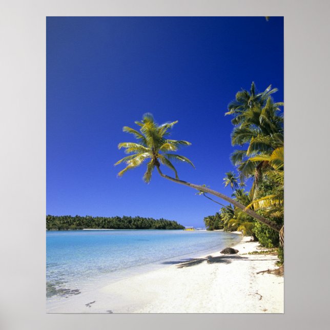 Poster Praia ladeada por palmeiras Ilhas Cook (Frente)