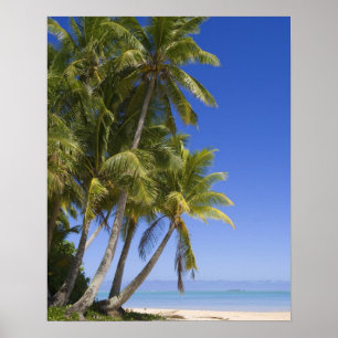 Póster Praia ladeada por palmeiras Ilhas Cook 3