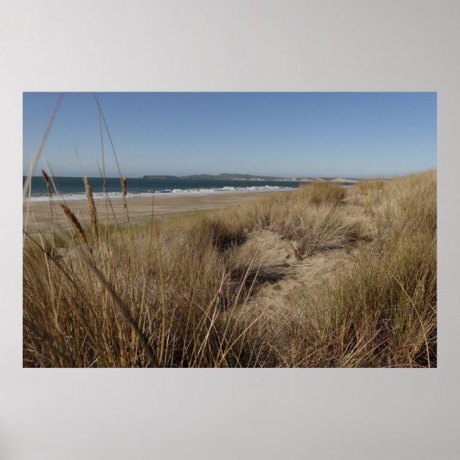 Poster Praia Limantour em Point Reyes II (Frente)