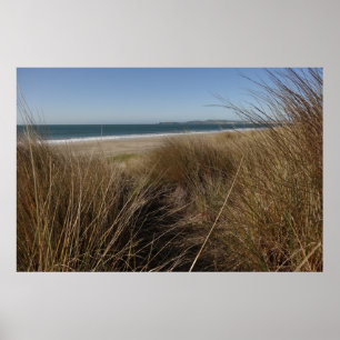 Póster Praia Limantour em Point Reyes National Seashore I