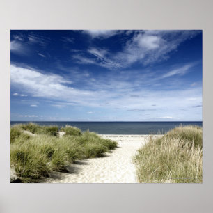 Poster Praia, MÃES de Welfleet
