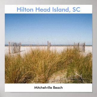 Poster Praia Mitchell-ville 2008, Natalie Nelson