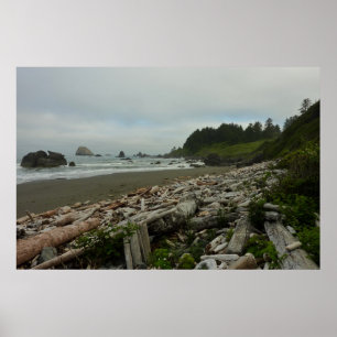 Póster Praia Oculta I no Parque Nacional de Redwood