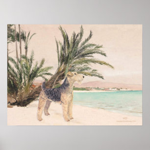 Poster Praia Palmy