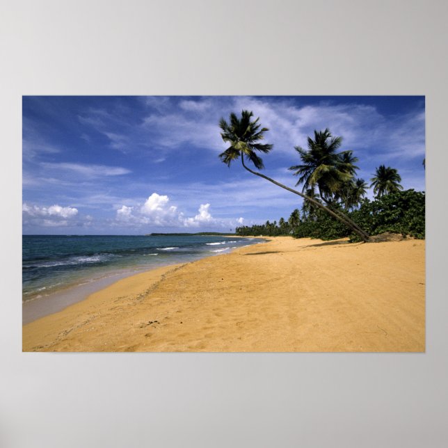 Póster Praia Porto Rico 2 (Frente)