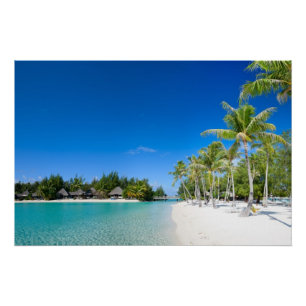 Póster Praia tropical