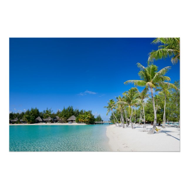 Póster Praia tropical (Frente)