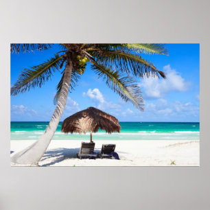 Póster praia tropical