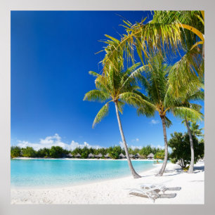 Poster praia tropical