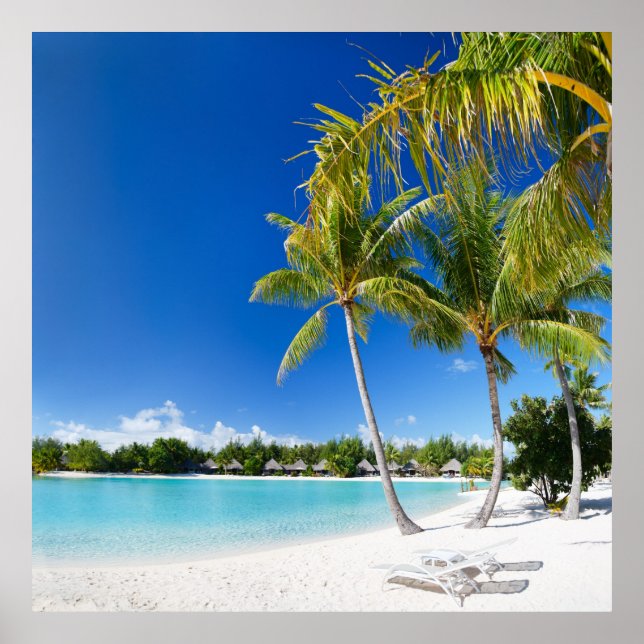 Poster praia tropical (Frente)