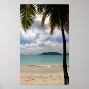 Poster Praia Tropical