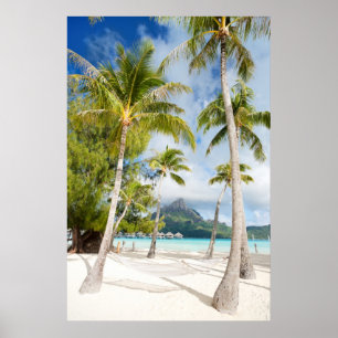 Póster praia tropical