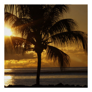 Póster Praia Tropical