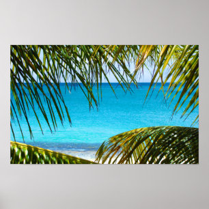 Poster Praia Tropical com Palm Fronds