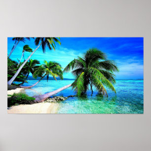 Poster Praia tropical da ilha da palmeira