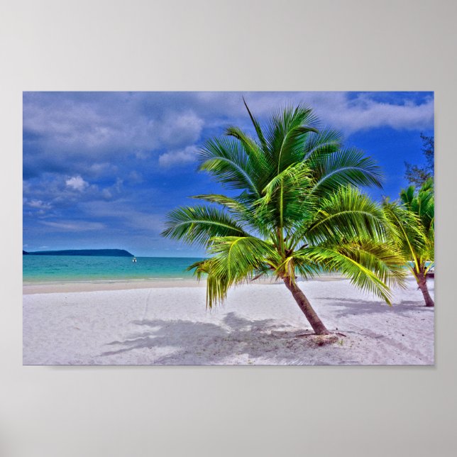 Poster Praia Tropical de Palm Tree Perfeita (Frente)