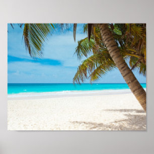 Poster Praia tropical de turquesa