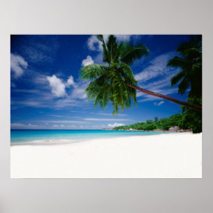 Póster Praia tropical   Seychelles