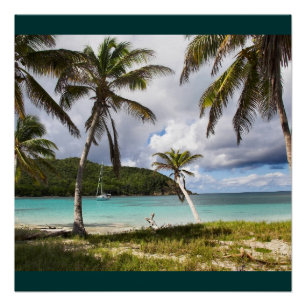 Póster Praia Tropical Verde Natureza Nome Personalizar