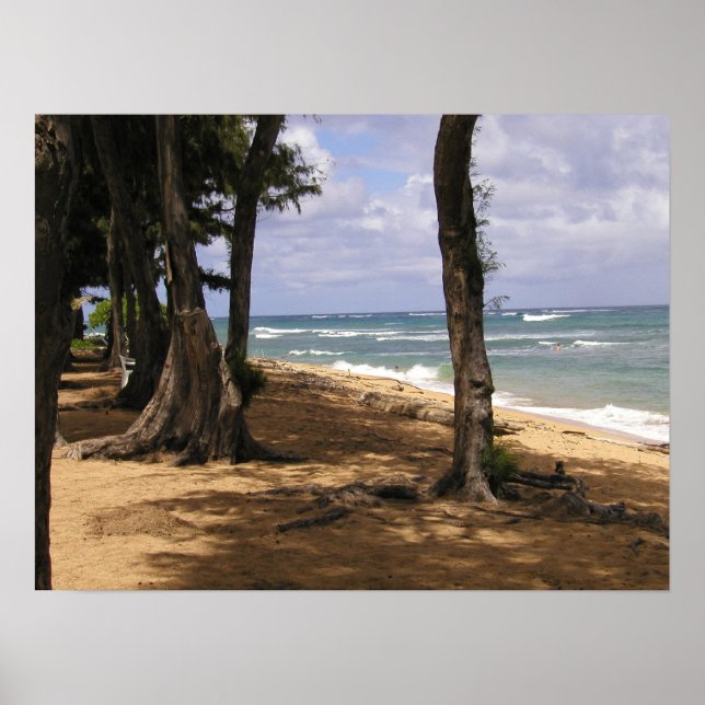 Poster Praia, Wailua, Kauai (Frente)