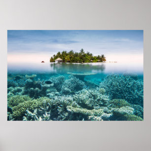 Poster Praias Tropicais   Ari Atoll Maldivas