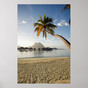 Poster Praias Tropicais Beach Huts, Bora Bora
