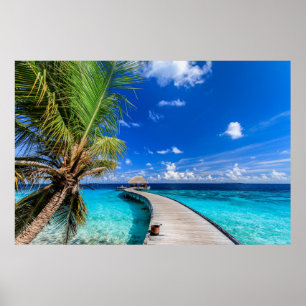Poster Praias Tropicais Dusit Thani Maldives