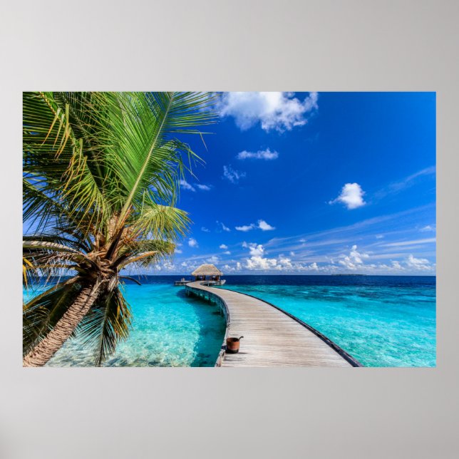 Poster Praias Tropicais | Dusit Thani Maldives (Frente)