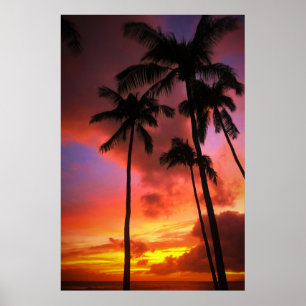 Poster Praias Tropicais Ilhas Maui Hawaii