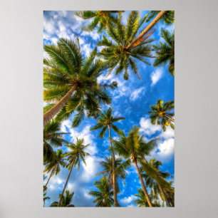 Poster Praias Tropicais Palmeiras sobre o céu azul