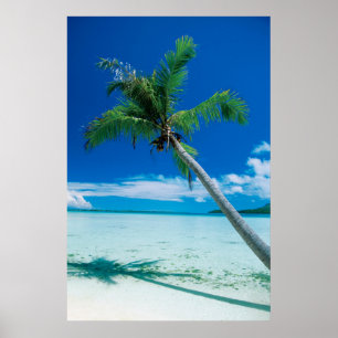 Poster Praias Tropicais   Praia Motu Tofari, Bora Bora