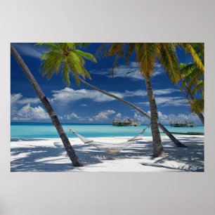 Poster Praias Tropicais   Sandy Beach, Maldivas