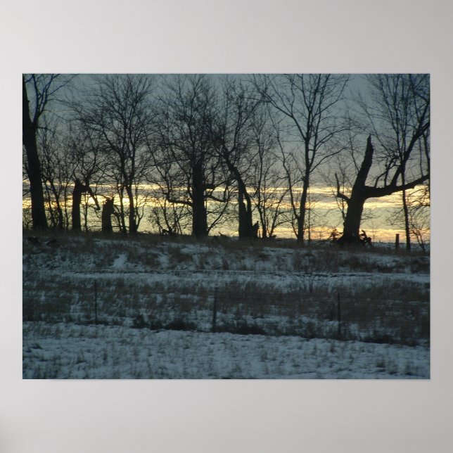 Poster Prairie Dourada (Frente)