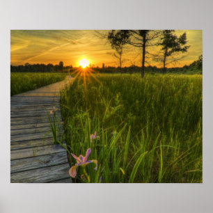Póster Prairie Sunset