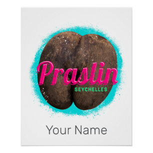 Póster Praslin Seychelles Oceano Índico Vintage Souvenir