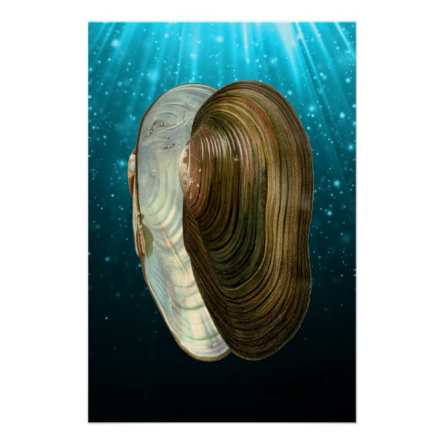 Póster Prateleiras de mar no oceano de praia (Frente)