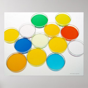 Poster Prato Laboratorial 2