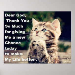 Poster Praying adorável do gatinho