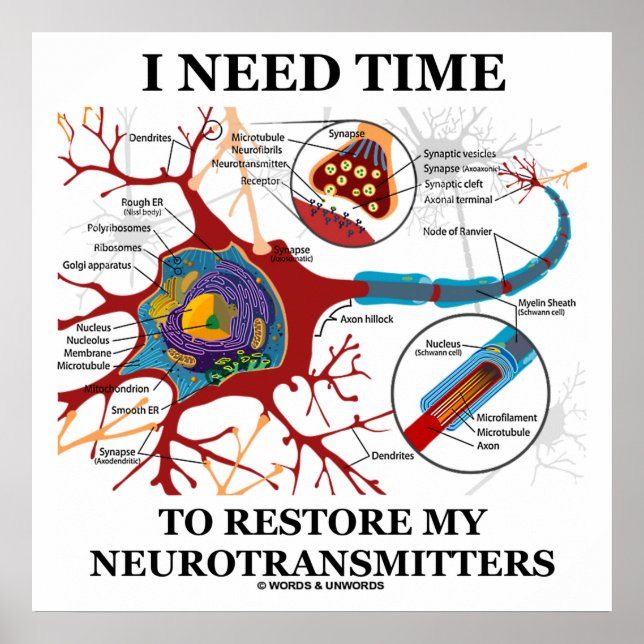 Póster Preciso De Tempo Para Restaurar Os Meus Neurotrans (Frente)