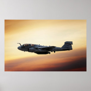 Póster Predador de EA-6B