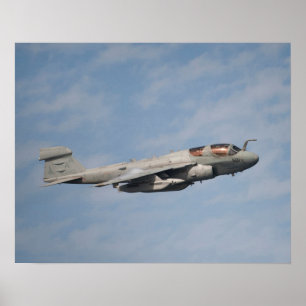 Póster Predador de EA-6B