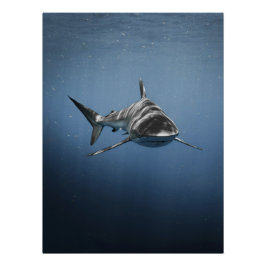 Póster Predador Feroz do Oceano – Tubarão