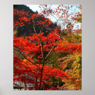 Poster Prefeitura de Saitama, Japão