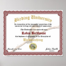 Prêmio de Certificado de Diploma de Conclusão de E