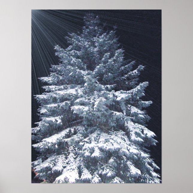 Póster Prêmio TBA - Luzes do pino (Frente)