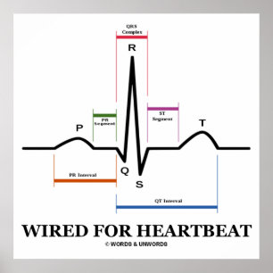 Póster Prendido para o electrocardiograma da pulsação d