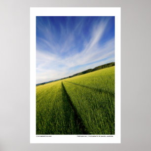 Póster Preparação