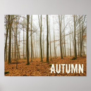 Poster Presente da Floresta Mista e Fog Fall Season