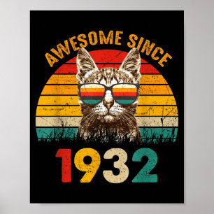 Poster Presente de 94º aniversário para um amante de gato